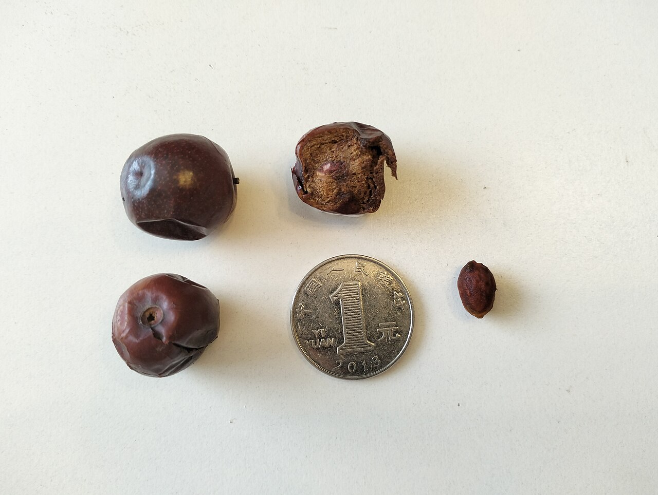 sour jujube seed